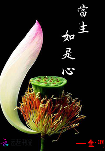 南珺琦和席承侥的小说