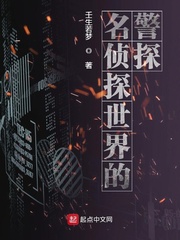 我破案震惊世界