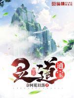 灵道通宝小说全本下载