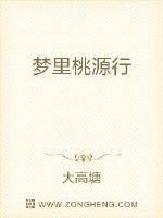 王安石桃源行
