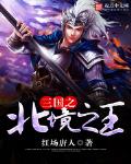 三国之北境之王txt小说免费阅读