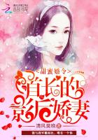甜蜜军婚首长的影后妻
