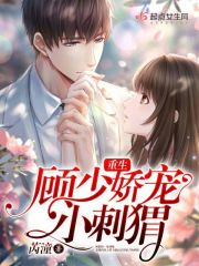 宠不休txt小说免费阅读全文