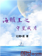 海贼王之星海传奇 小说