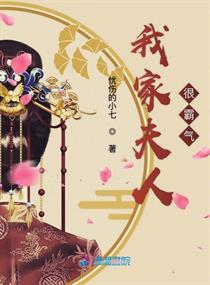 我家夫人 小说