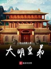 大明皇上是谁