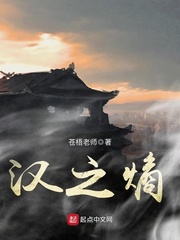 扶危天下之造梦君小说全本阅读