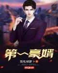 第一豪婿小说林阳许苏晴