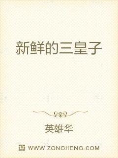 三皇子攻略步骤