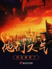 他们又气死监察官了小说全本下载