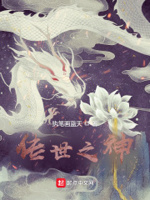 传世之神小说全文免费阅读无弹窗