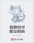 我修的可能是假仙TXT小说下载