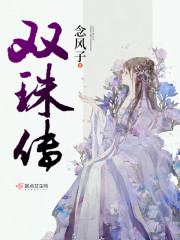 双珠传免费阅读全文