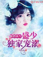盛婚暖爱 小说